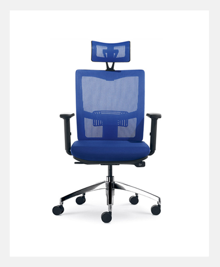 GB-Blue Office Chair with High Quality Footrest & Headrest